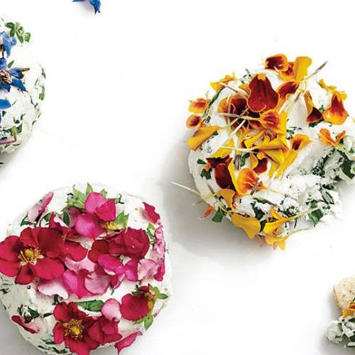 Edible Flowers by Taste Flavors